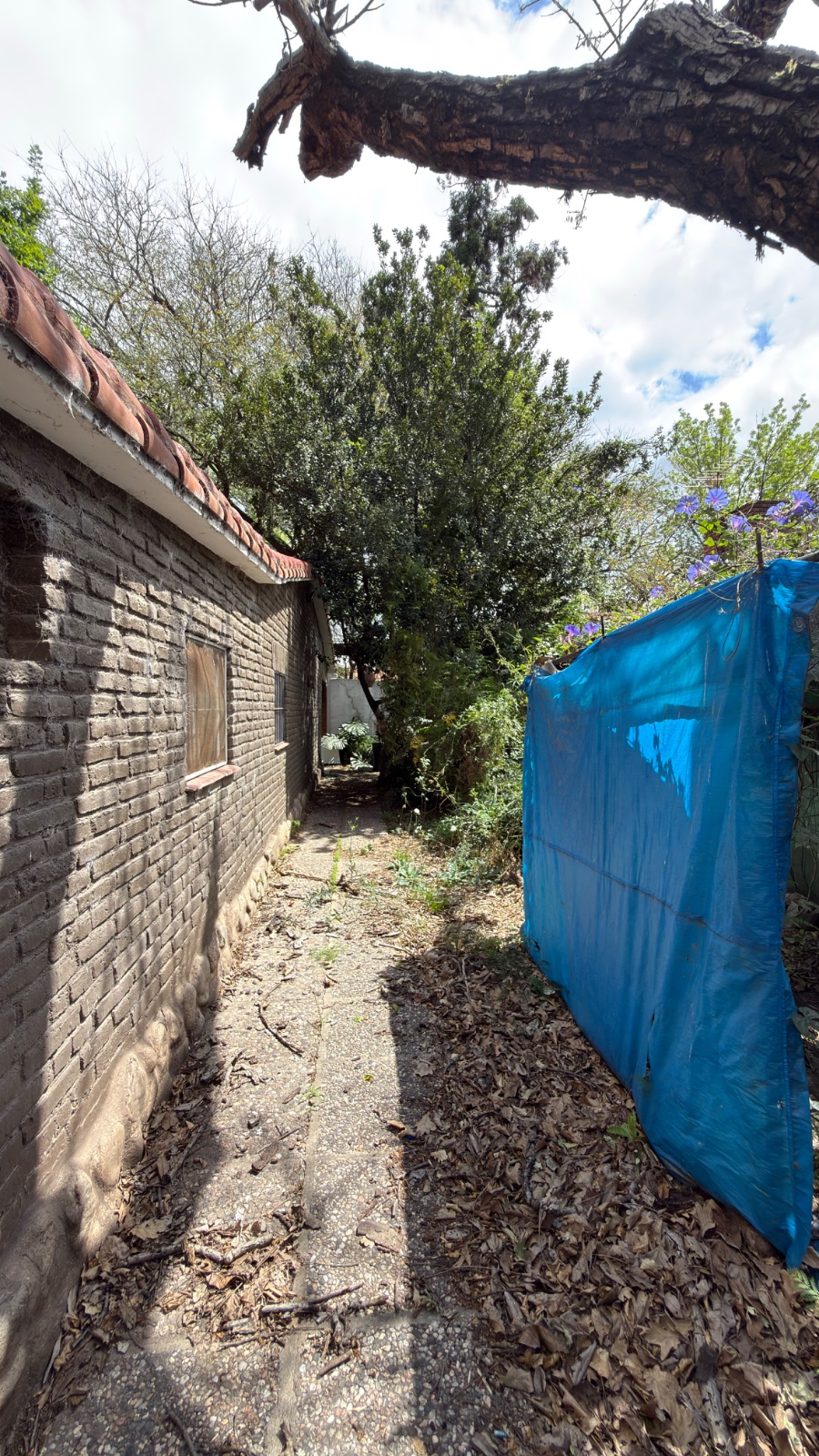 Casa en venta en Cerro de las Rosas – Fray Mocho 2562 — foto 11